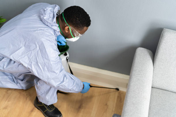 Best Real Estate Pest Inspections  in Mount Carroll, IL